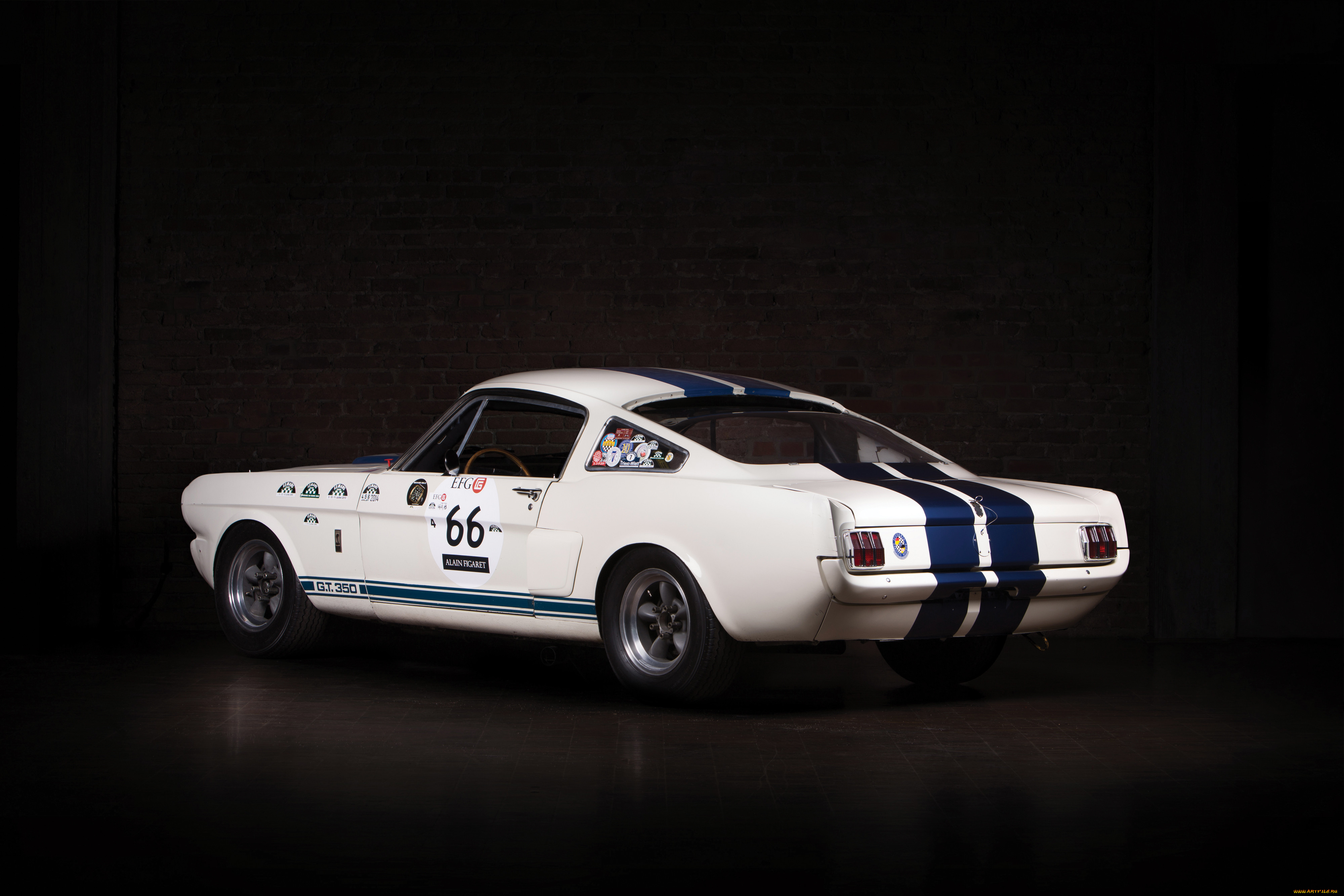 , mustang